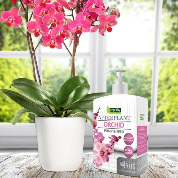 A white pump bottle of Empathy After Plant Orchid Feed next to a pink potted orchid.