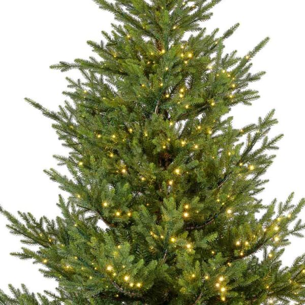 Everlands Norway Spruce Pre-Lit Christmas Tree - 7ft