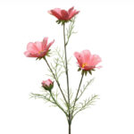 Everlands Pink Coreopsis Stem (64cm)