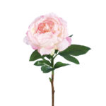 Floralsilk Peppermint Garden Peony Stem (70cm)