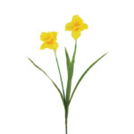 Floralsilk Daffodil Stem - 2 Heads (60cm)