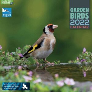 Otter House RSPB Garden Birds Wall Calendar 2022