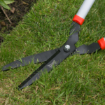 Using Wilkinson Sword General Purpose Long Handled Lawn Shears