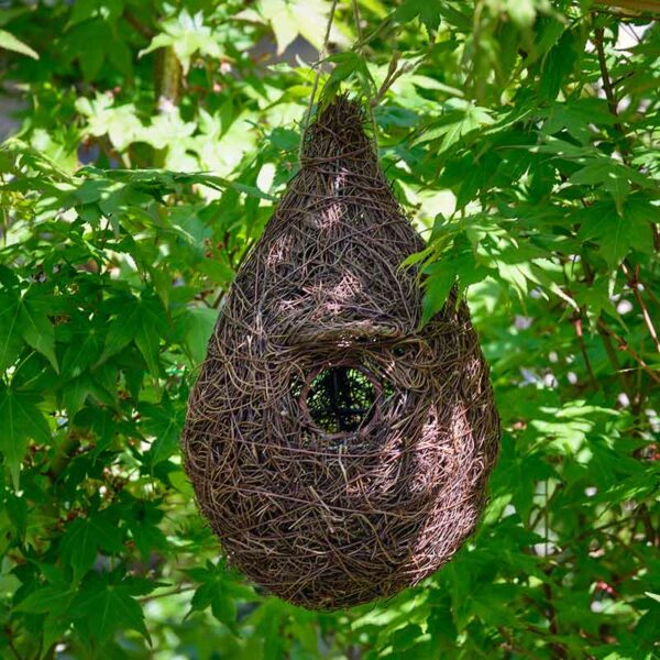 Giant Roost Nest Pocket hung in tree