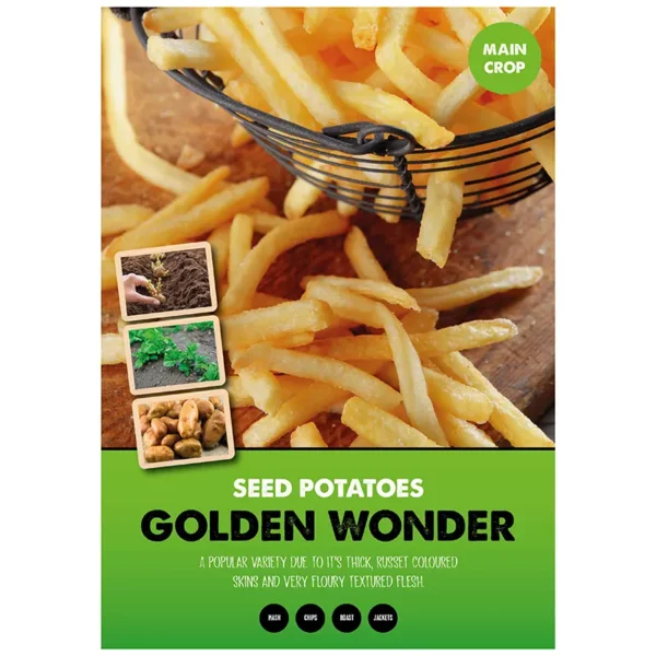 Golden Wonder Main Crop Seed Potatoes 2kg