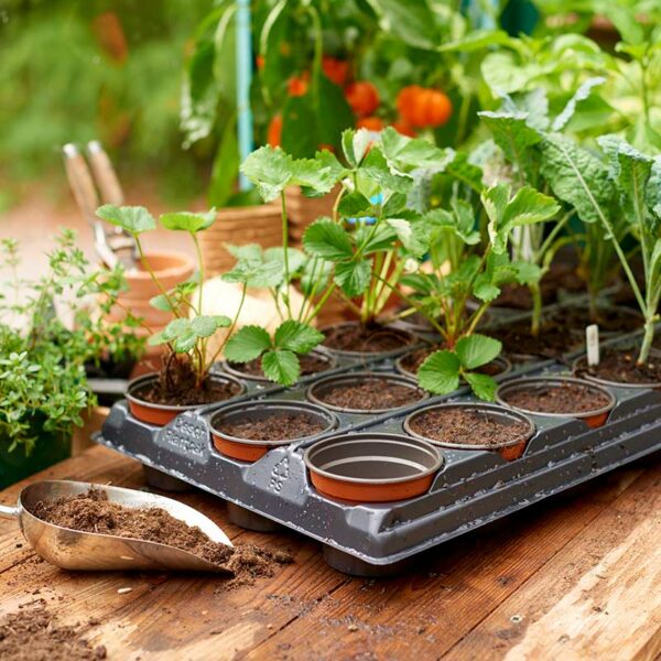 Gro-Sure Growing Tray Round Lifestyle 2