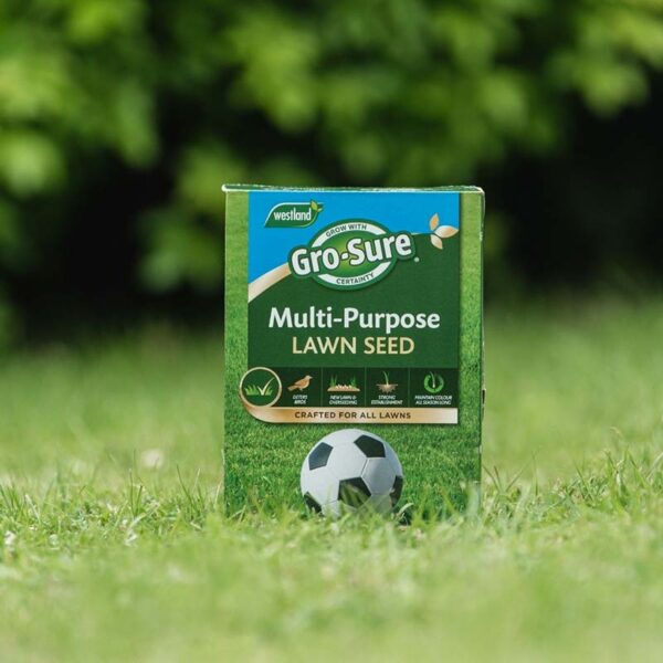 Westland Gro-Sure Multi-Purpose Lawn Seed Lifestyle