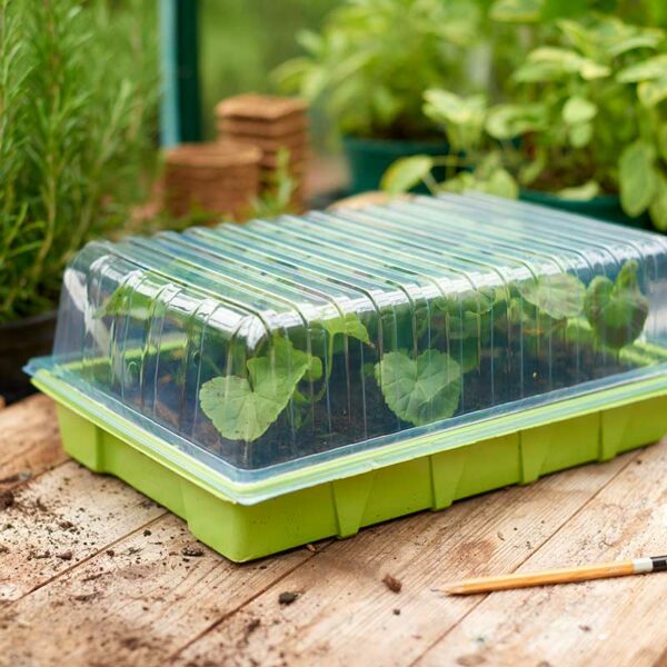 Gro-Sure Seed Tray Lid Lifestyle 1