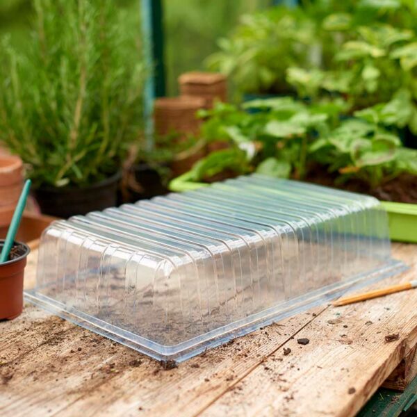 Gro-Sure Seed Tray Lid Lifestyle 2