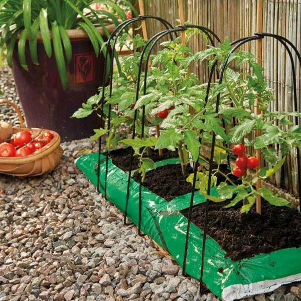 Grow Bag Cane Support Frame Lifestyle