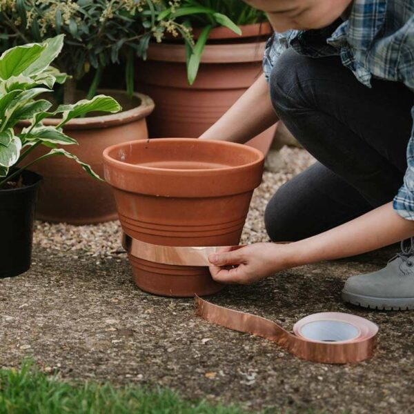 A woman measuring up Growing Success Slug Barrier Copper Tape around a plant pot.
