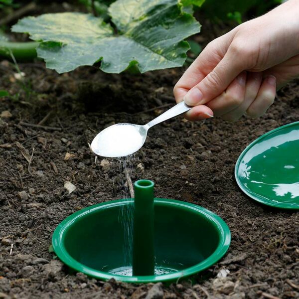 The Growing Success Slug & Snail Trap, embedded in the ground, with teaspoons of soil being added.