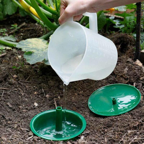 Water being poured from a white jug into the Growing Success Slug & Snail Trap that is sat in the ground.