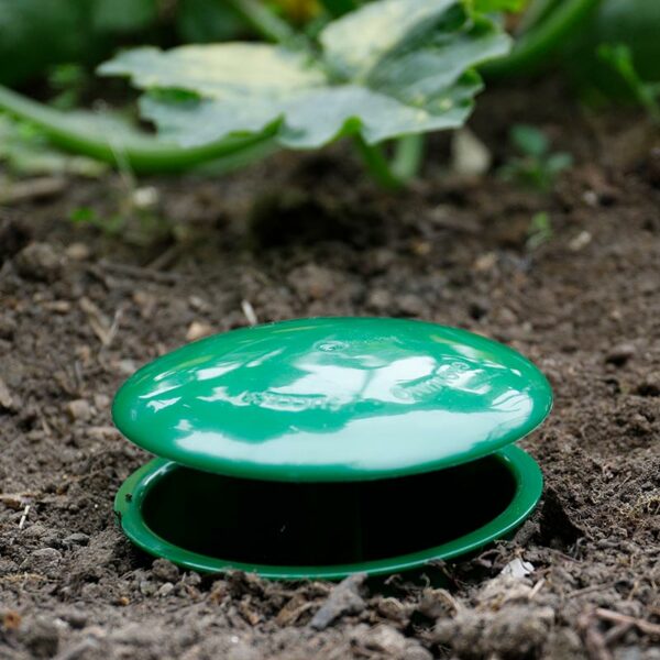 The Growing Success Slug & Snail Trap fully assembled in the soil.