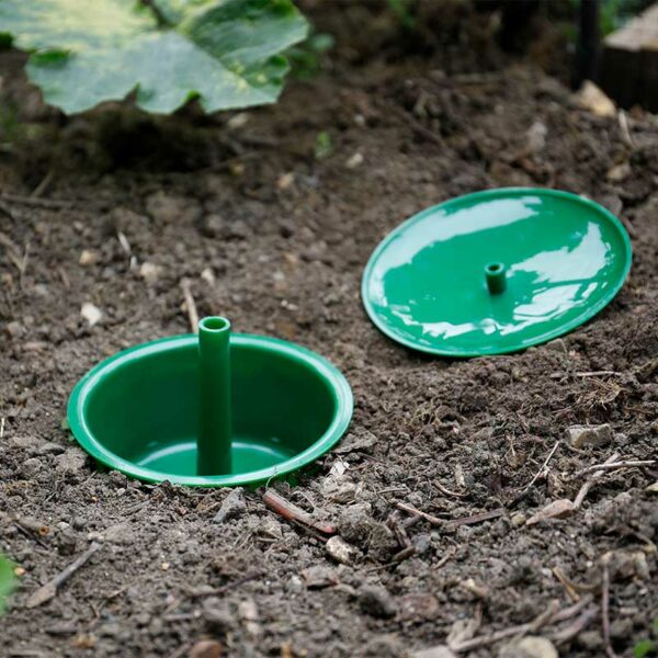 The Growing Success Slug & Snail Trap in the soil with the lid off.