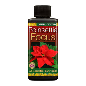 A 100ml bottle of Growth Technology Poinsettia Focus Food. The bottle has an image of a large red poinsettia bloom on the front.