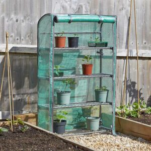 GroZone Compact 4 Tier Greenhouse Lifestyle 1