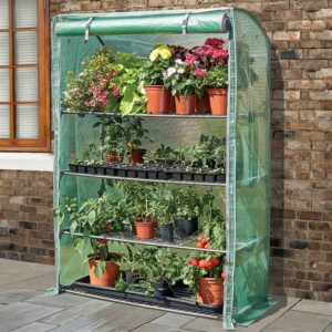 The GroZone Max growhouse, sat against a wall with the front open showing the shelves full of potted plants.