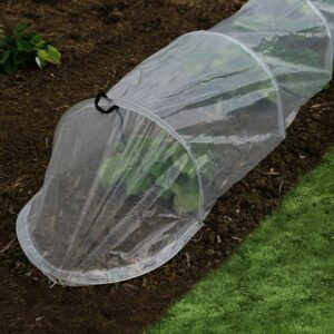 A transparent polythene tunnel, placed over a row of plants in a veg bed.