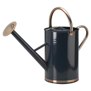 GroZone Watering Can - Blue (9 litres)