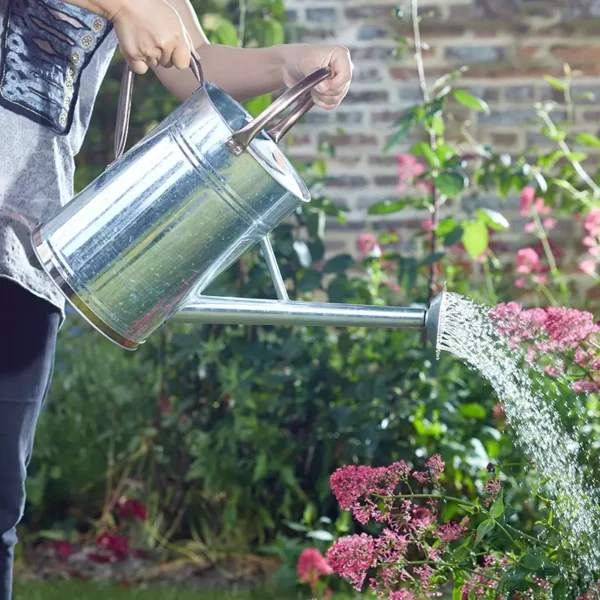 GroZone Watering Can - Galvanised Metal (9 litres) pouring