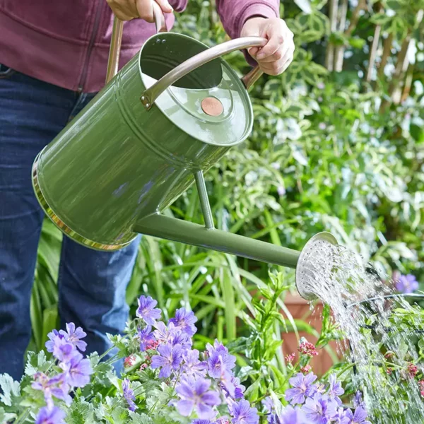 GroZone Watering Can - Sage Green (9 litres) pouring