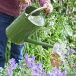GroZone Watering Can 9L Sage Green Lifestyle