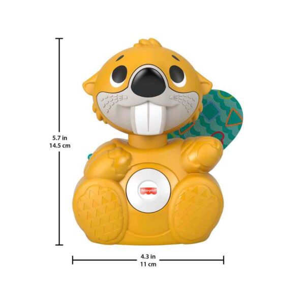 Fisher-Price Linkimals Boppin’ Beaver Musical Toy for Babies dimensions