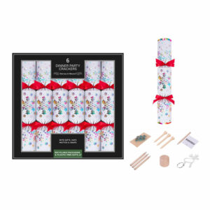 Harvey & Mason 6 Holographic Dinner Party Crackers