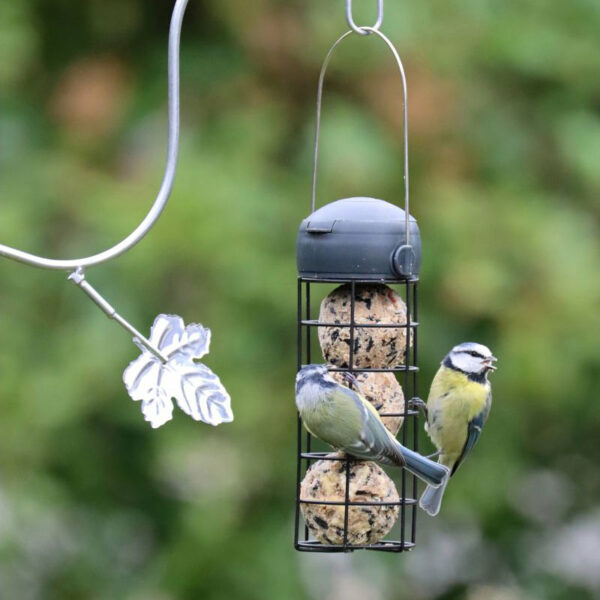 Henry Bell Essential Fat Ball Feeder in use by wild birds