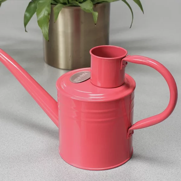 GroZone Home & Balcony Watering Can (1 litre) Coral Pink lifestyle
