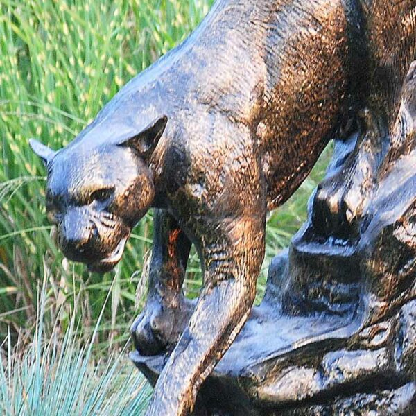 Home & Garden UK Cougar on Rock Garden Statue detail