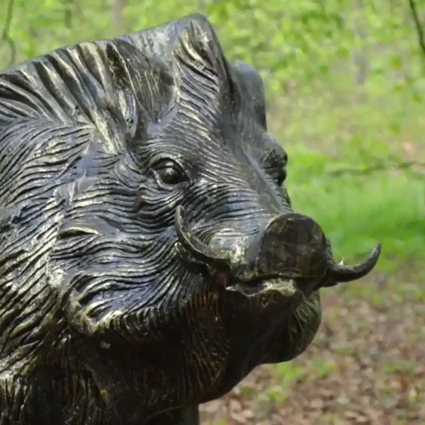 Face detail of the Home & Garden Wild Boar Garden Statue