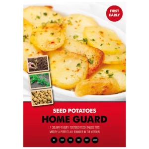 Home Guard First Early Seed Potatoes (2kg bag)