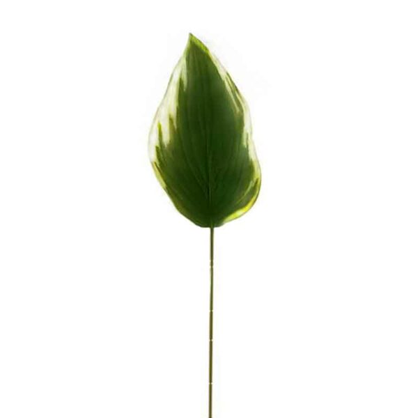 Hosta Leaf Stem (58cm)
