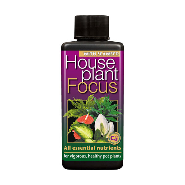 A 100ml bottle of Houseplant Focus Plant Food.