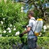 A man with the 16l Hozelock Pulsar Plus Comfort Knapsack Pressure Sprayer on his back spraying his plants from a rear view.