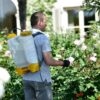 A man with the 16l Hozelock Pulsar Plus Comfort Knapsack Pressure Sprayer on his back spraying his plants.