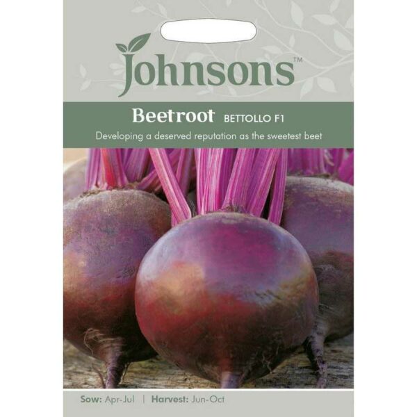 Johnsons Bettollo F1 Beetroot Seeds