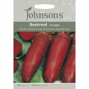 Johnsons Cylindra Beetroot Seeds