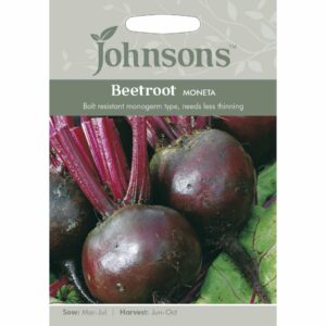 Johnsons Moneta Beetroot Seeds