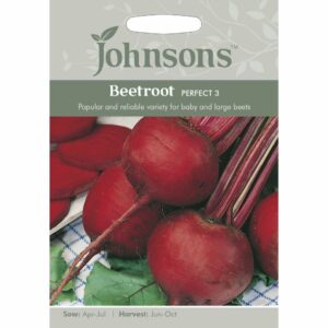 Johnsons Perfect 3 Beetroot Seeds
