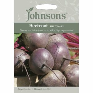 Johnsons Red Titan F1 Beetroot Seeds