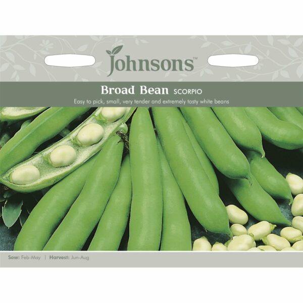 Johnsons Scorpio Broad Bean Seeds