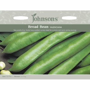 Johnsons Valenciana Broad Bean Seeds