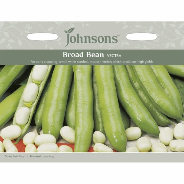 Johnsons Vectra Broad Bean Seeds