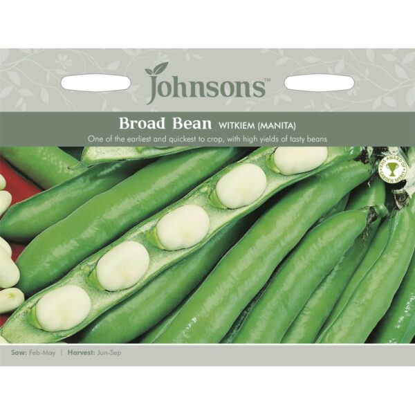 Johnsons Witkiem (Manita) Broad Bean Seeds