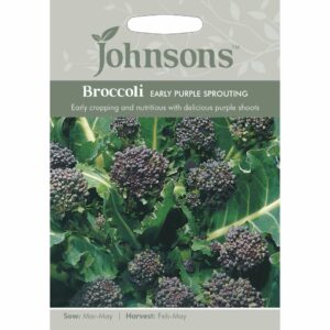 Johnsons Early Purple Sprouting Broccoli Seeds