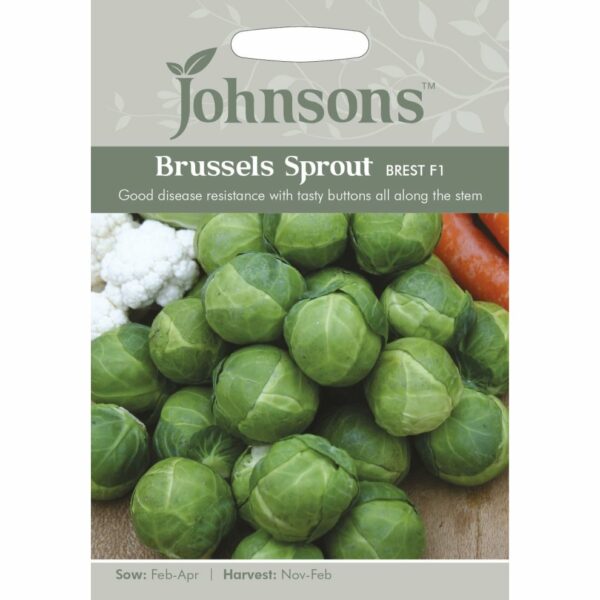 Johnsons Brest F1 Brussels Sprout Seeds