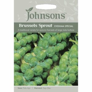 Johnsons Evesham Special Brussels Sprout Seeds